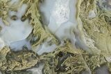 Moss Agate Replaced Wood Cast - Oregon #373529-1